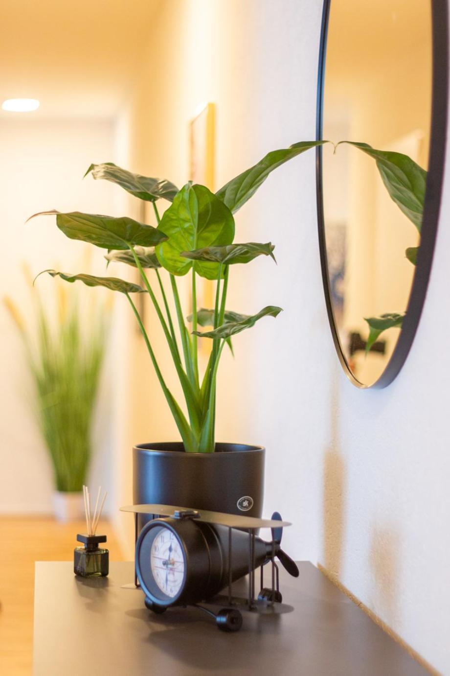Special Einstein II Apartment Basel, Messe Kleinbasel 10-Star ภายนอก รูปภาพ